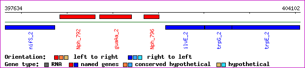 gene map