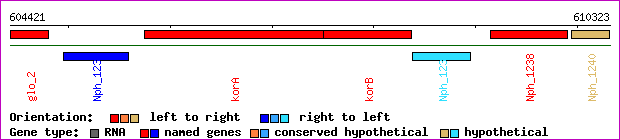 gene map