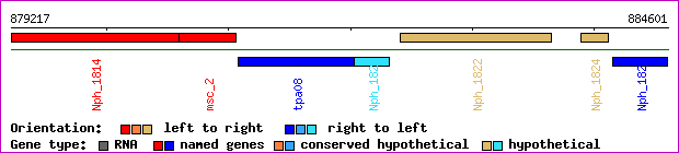 gene map