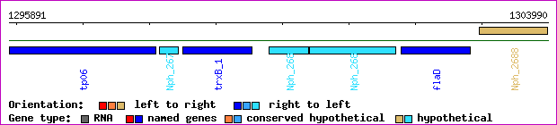 gene map