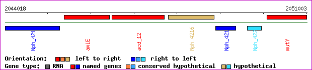 gene map