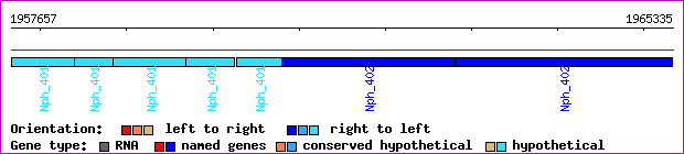 gene map