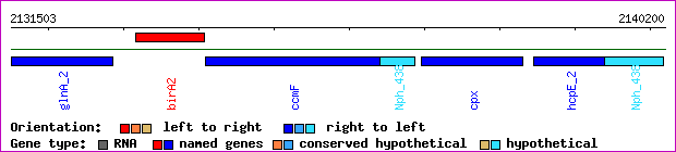gene map