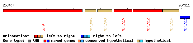 gene map