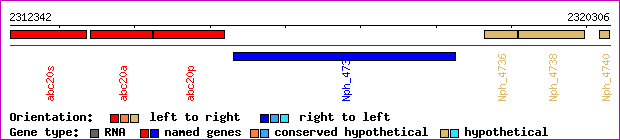 gene map
