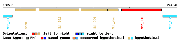 gene map