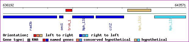gene map
