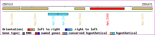 gene map