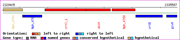 gene map