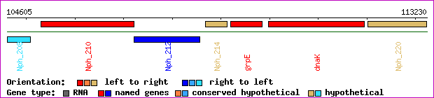 gene map