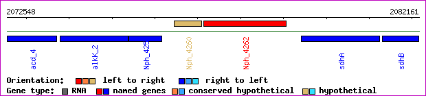 gene map