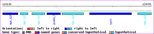 gene map