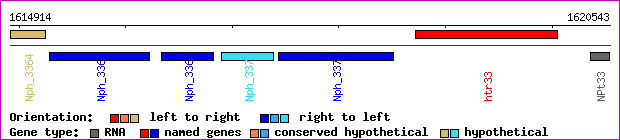 gene map