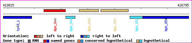gene map