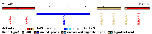 gene map