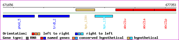 gene map