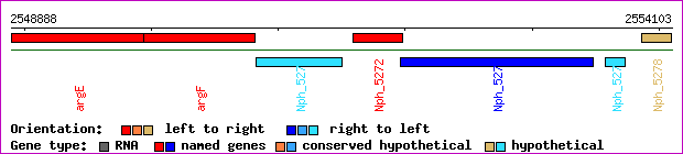 gene map