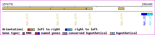 gene map