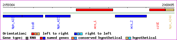 gene map