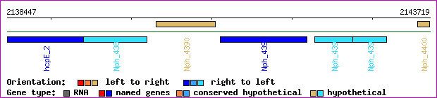 gene map