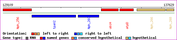 gene map