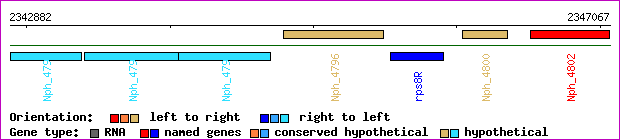 gene map