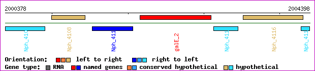 gene map