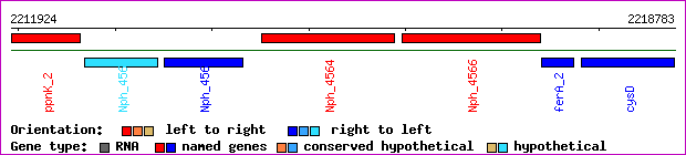 gene map