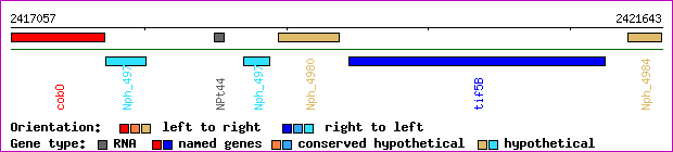 gene map
