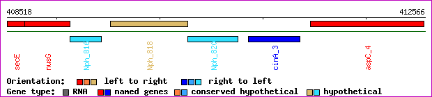 gene map