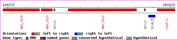 gene map