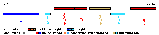 gene map