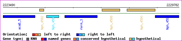 gene map