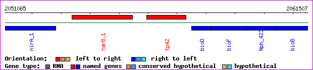gene map