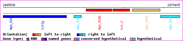 gene map