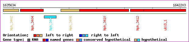 gene map