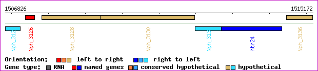 gene map