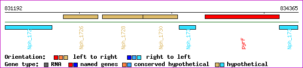gene map