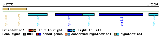 gene map