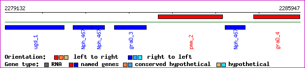 gene map