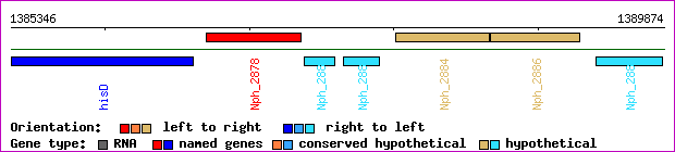 gene map