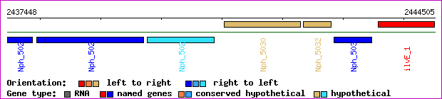 gene map