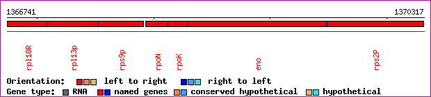 gene map