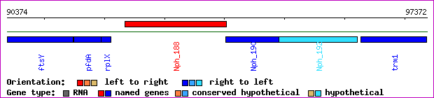 gene map
