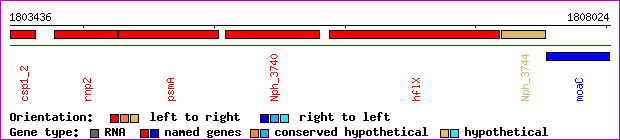 gene map