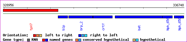 gene map