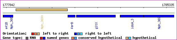 gene map