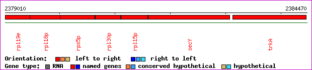 gene map