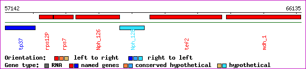 gene map