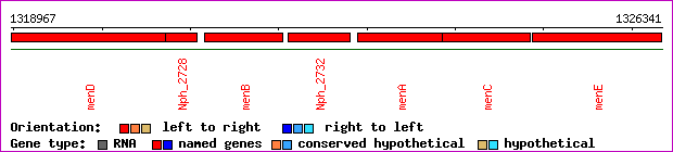 gene map